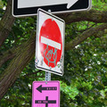 DSC_7626.jpg